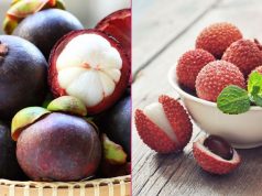 Bingöl Kantin Açma Belgesi (Kantin İşletmeciliği Kursu) – 0(530) 304 98 98
